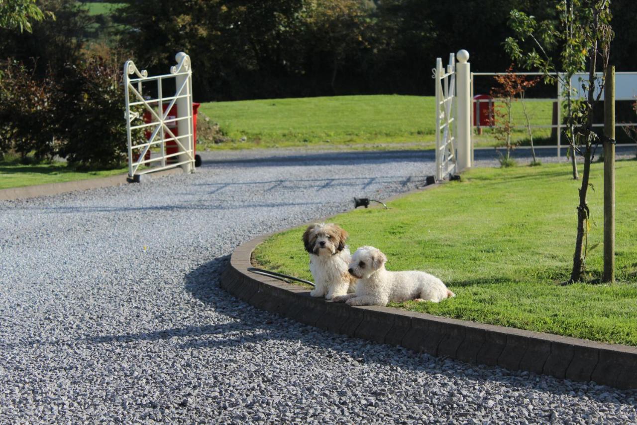 Luachra Lodge Killarney Exterior foto