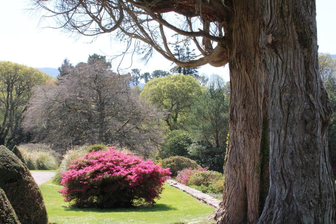 Luachra Lodge Killarney Exterior foto